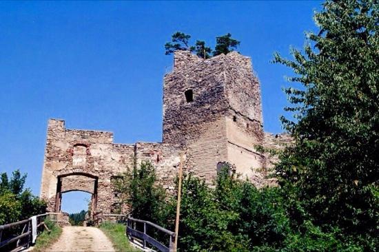 Burgruine Dobra