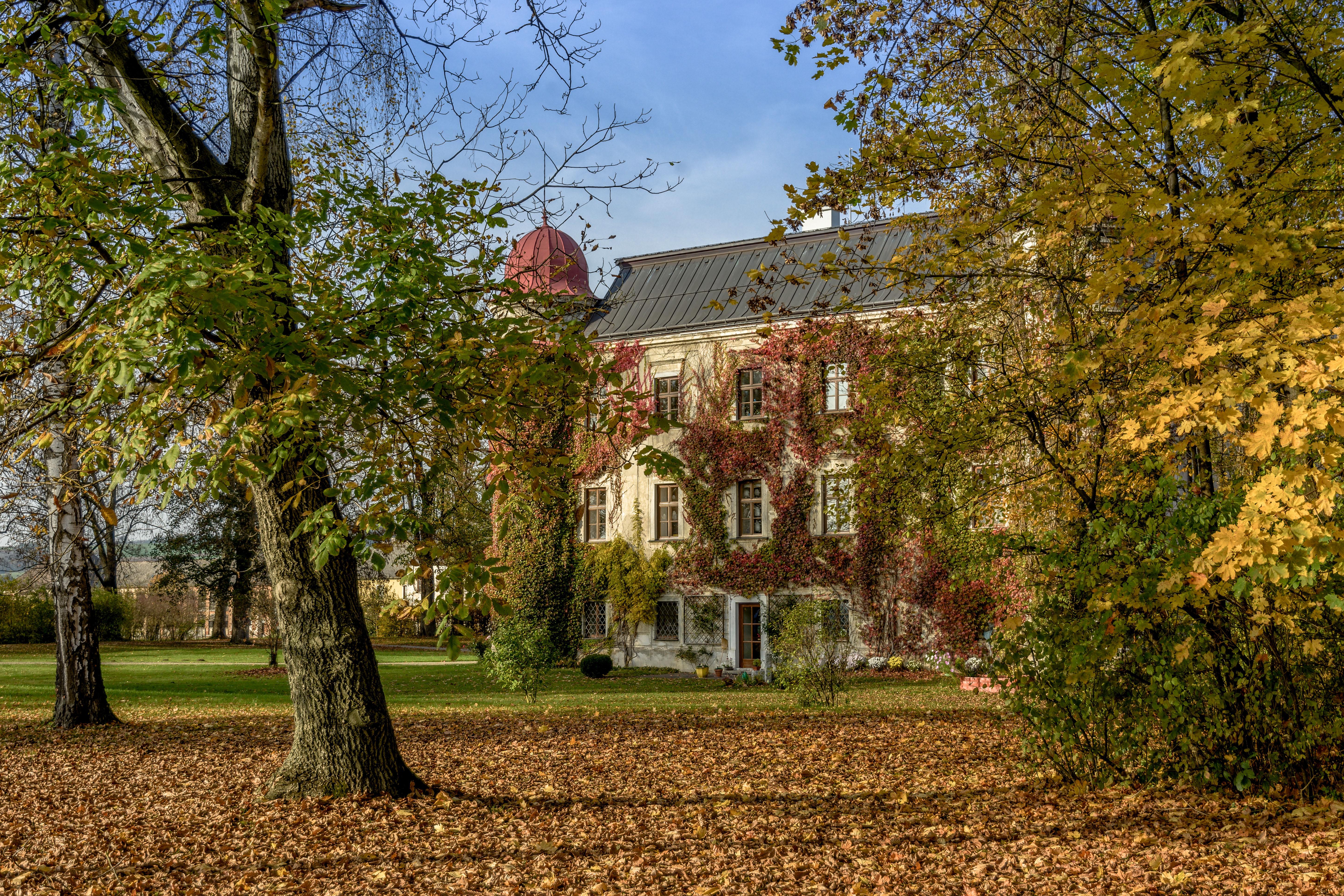 Schloss Mitterau