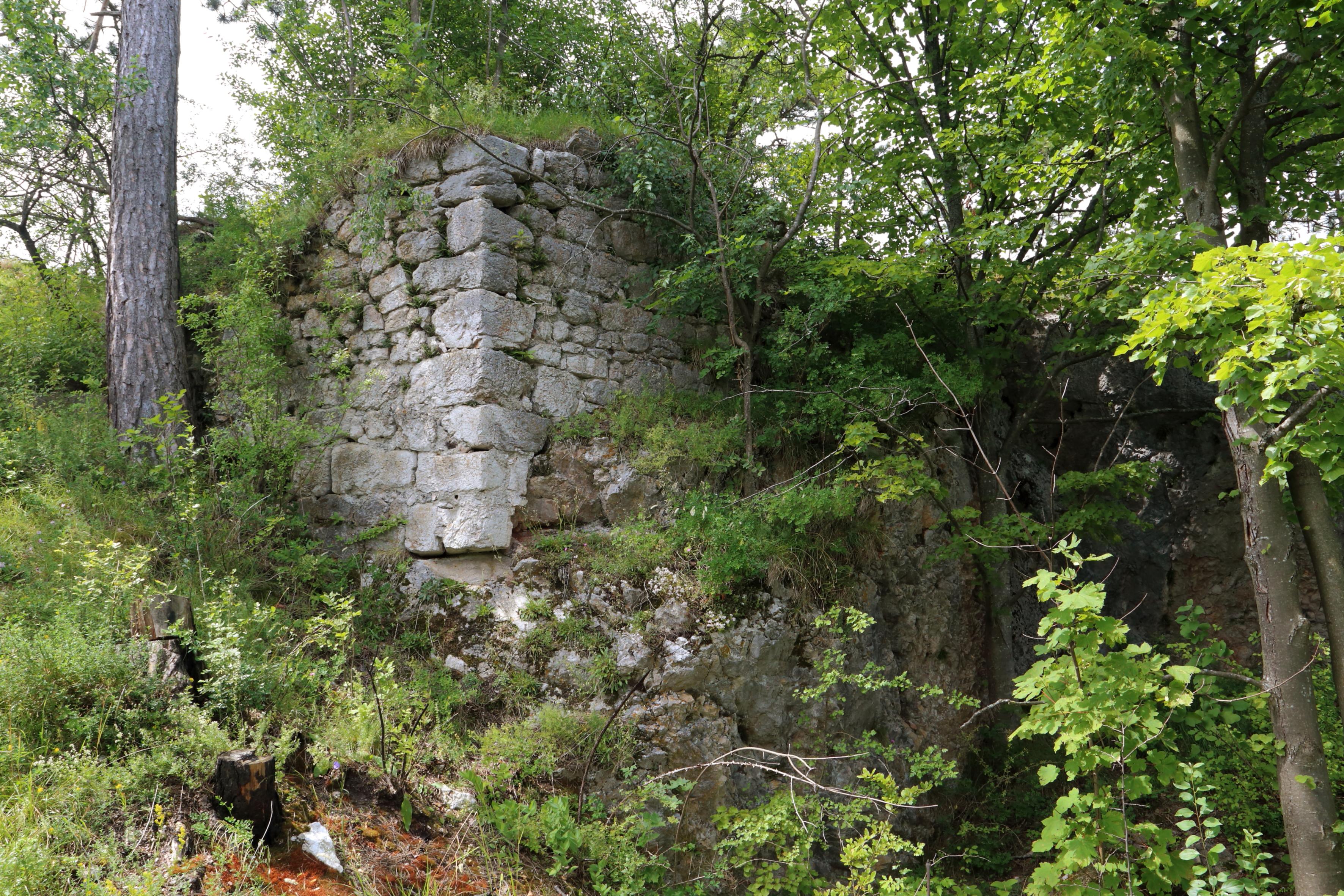 Burgruine Frohnberg