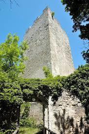 Burgruine Rauheneck