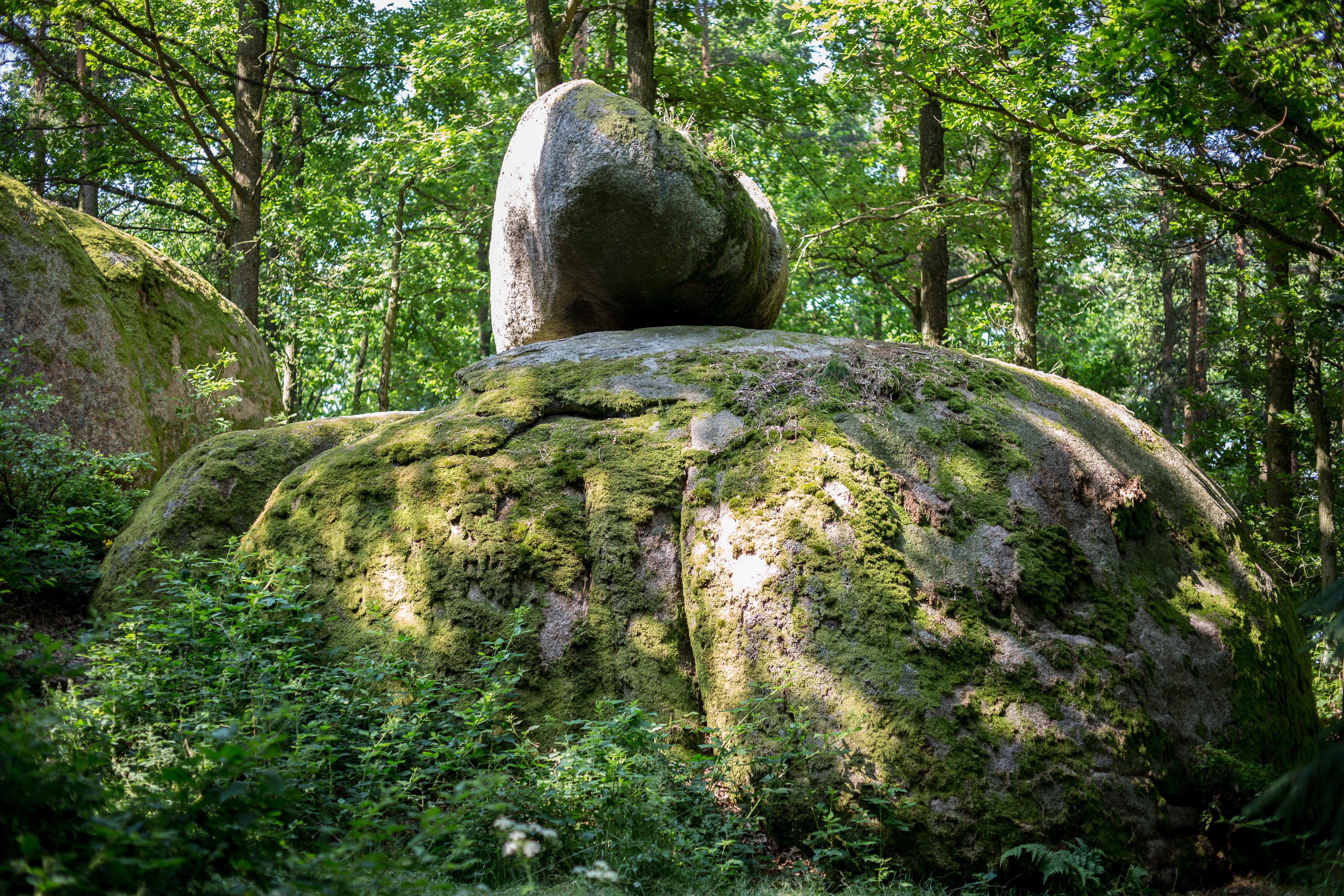 Wackelstein bei der Aussichtswarte Blockheide