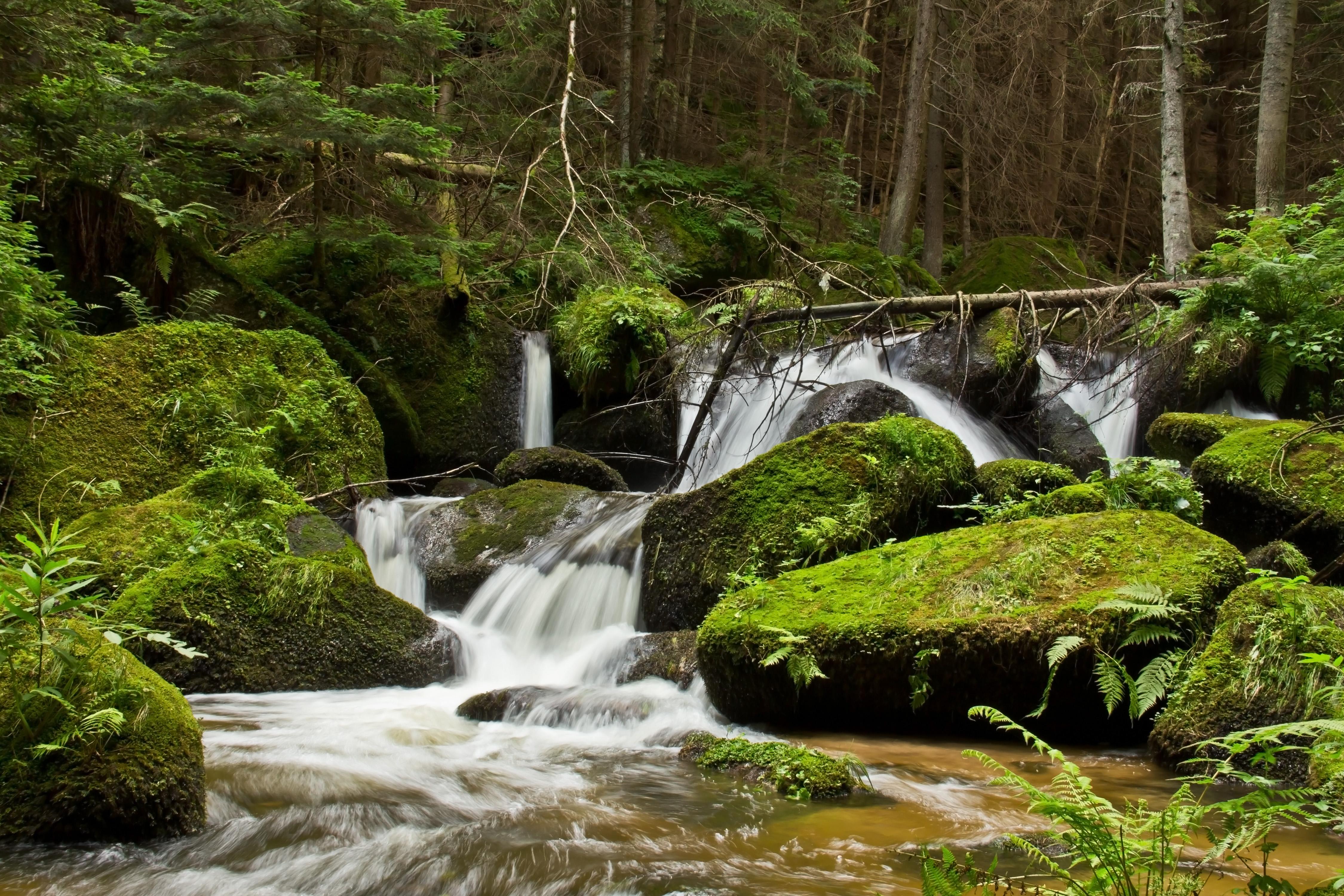 Lohnbachfall