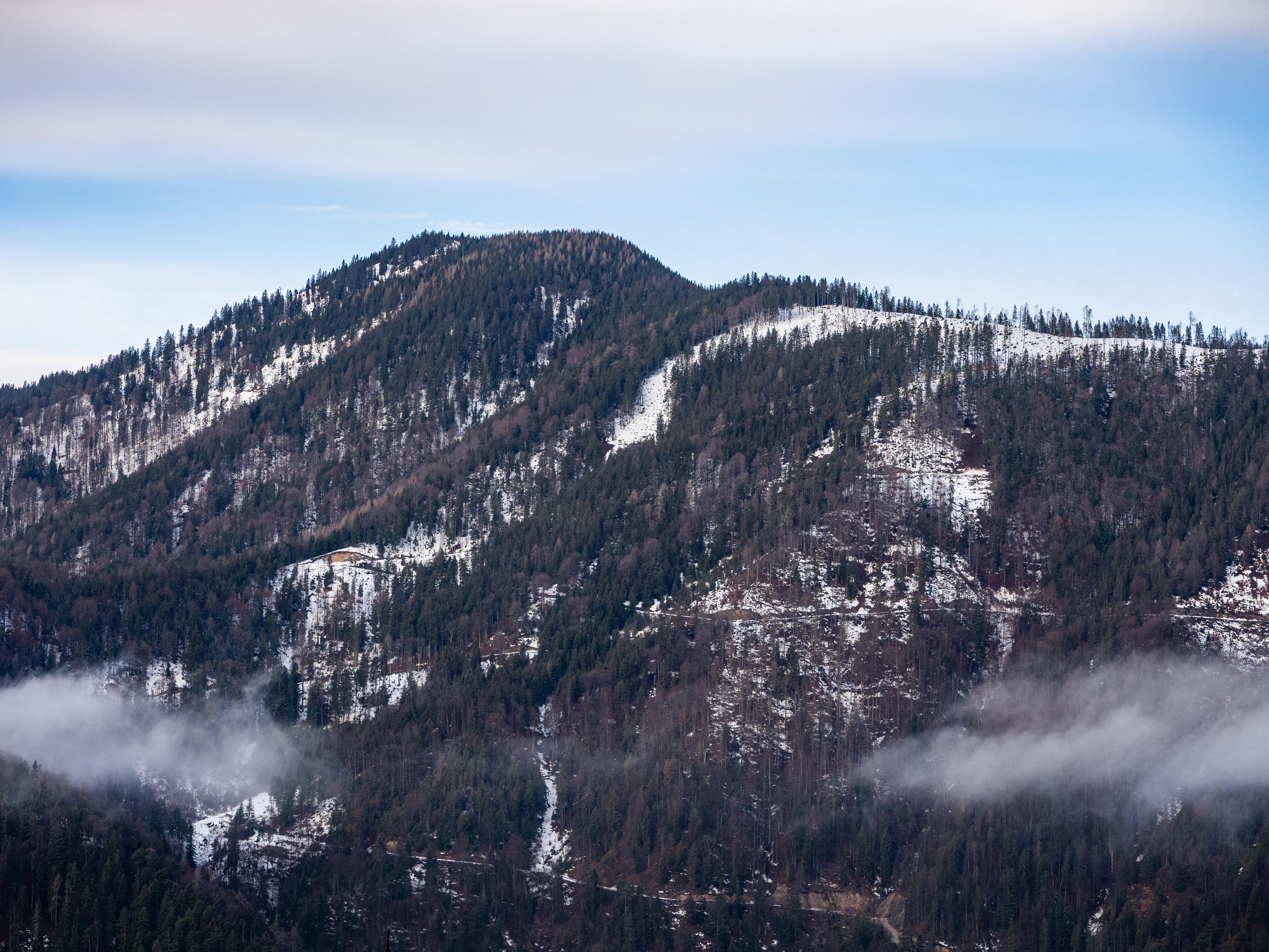 Wasserkopf