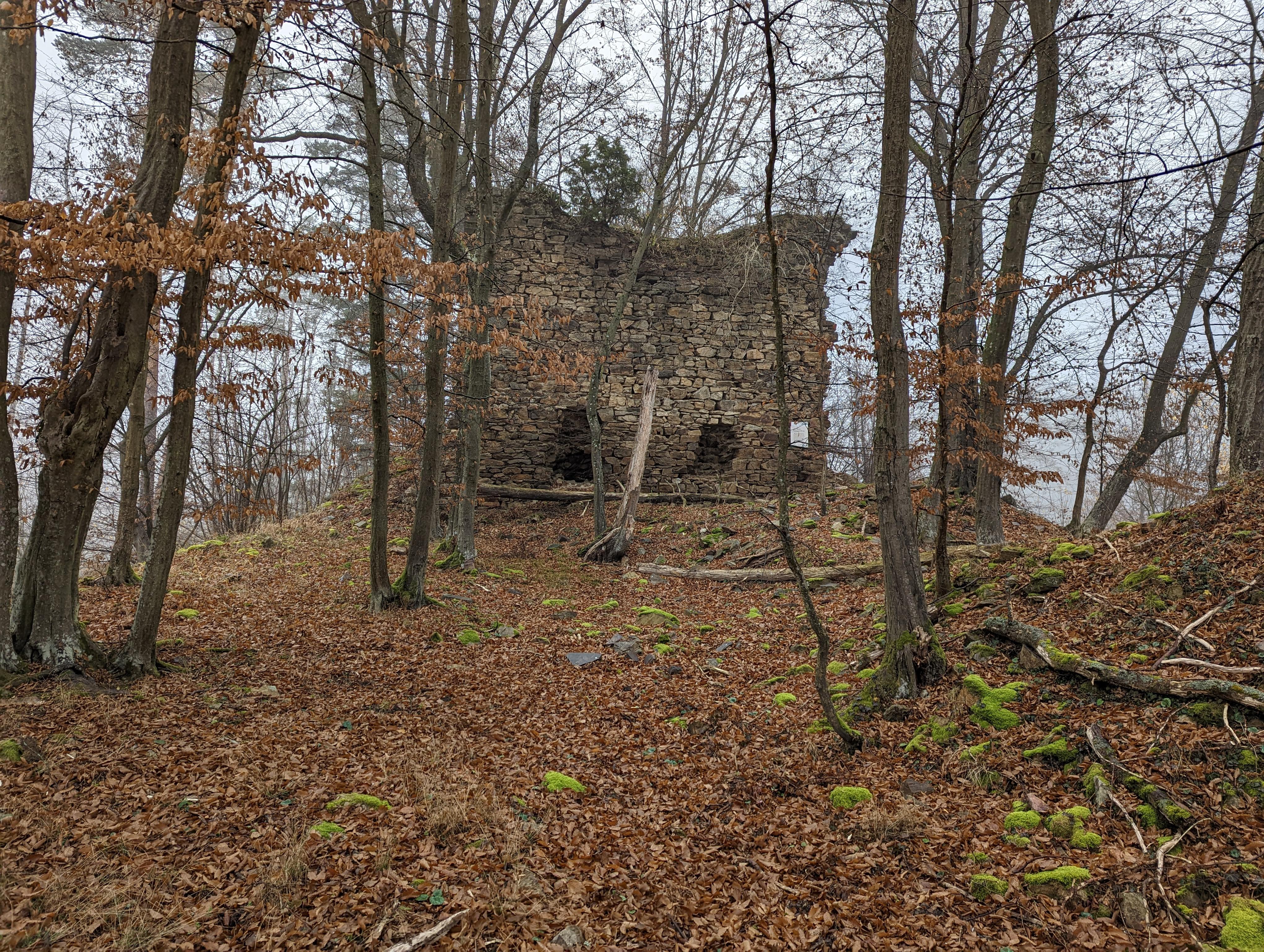 Ruine Schwarzenberg