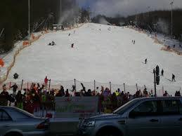 Hohe-Wand-Wiese