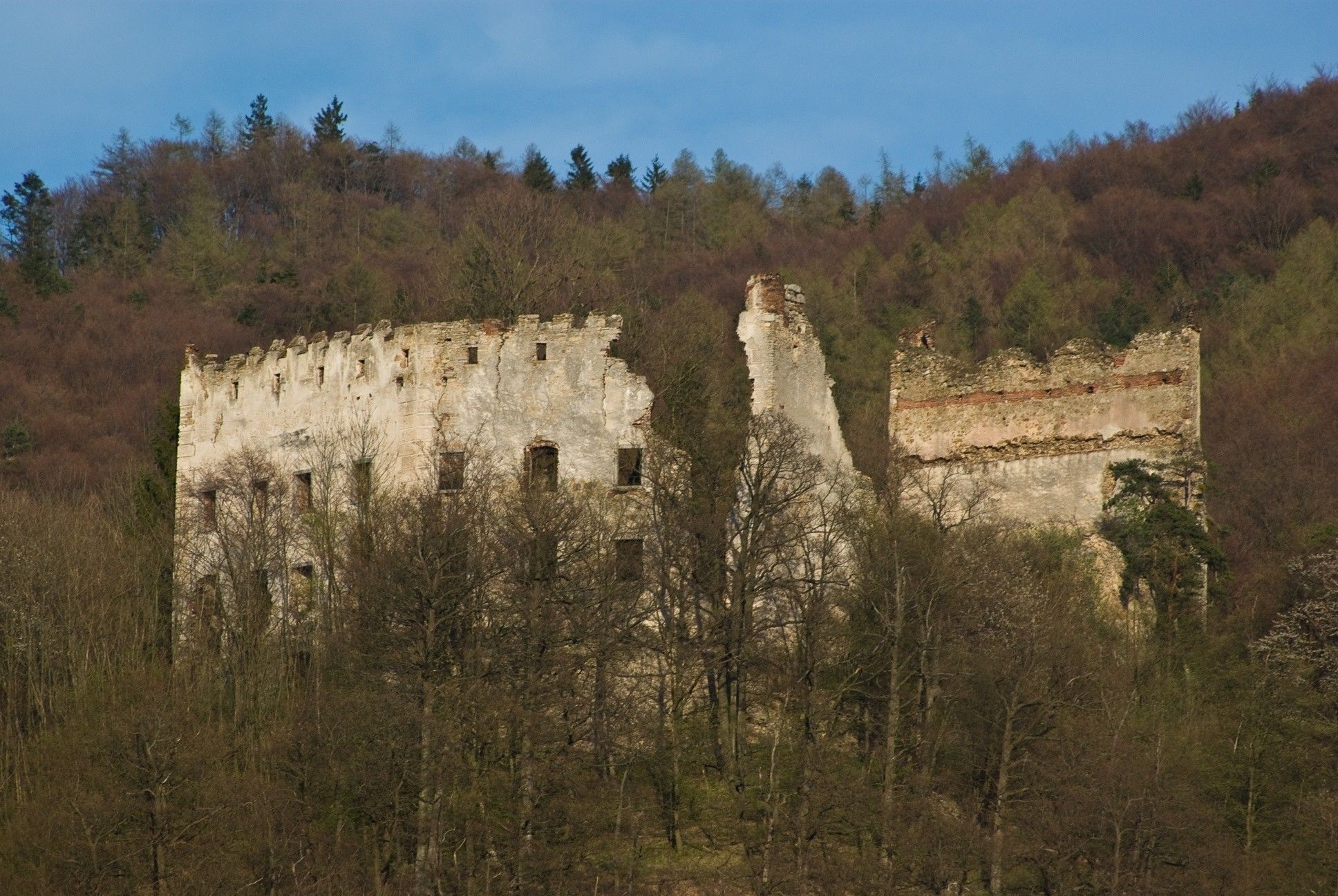 Burgruine Zelking