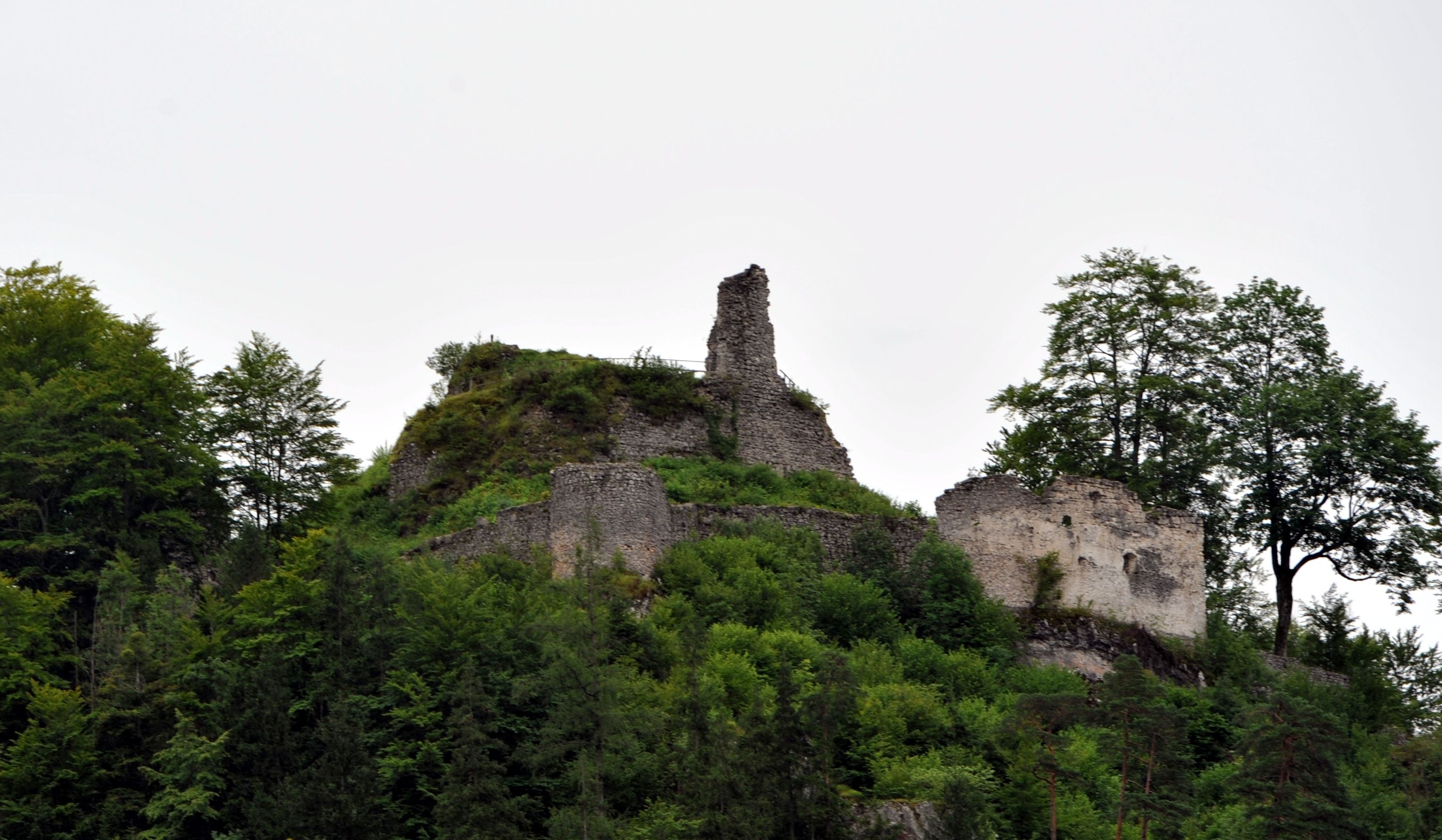 Ruine Hohenberg