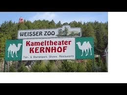 Tierpark WEISSER ZOO & Kameltheater