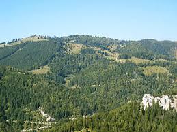 Tirolerkogel